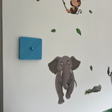Baby Blue — photo 3